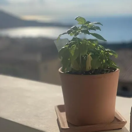 I3, 140, Cap Esterel Apartmán